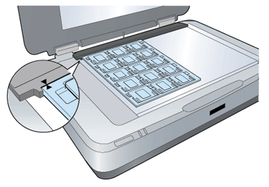 exactscan supported scanners