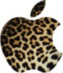 Logo Leopard