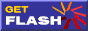 Get Macromedia Shockwave Flash
