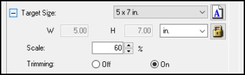 Quick Scan Size Selecting a Scan Size - Professional Mode