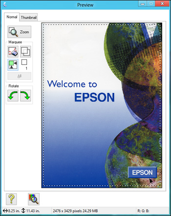 Selecting a Scan Size - Professional Mode