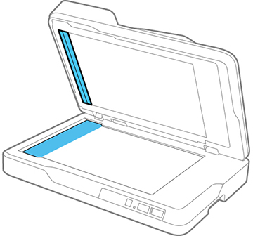 Placing Standard-Size Originals in the ADF