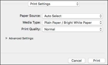 Printing Your Document - Mac