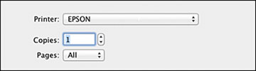 Selecting Basic Print Settings - Mac OS X 10.5/10.6/10.7