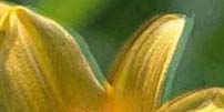 images/sample04.jpg