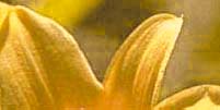 images/sample05.jpg