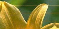 images/sample06.jpg