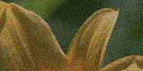 images/sample07.jpg