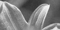images/sample08.jpg